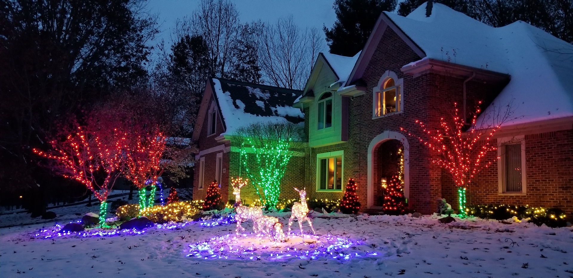 Snowy yard with reindeer