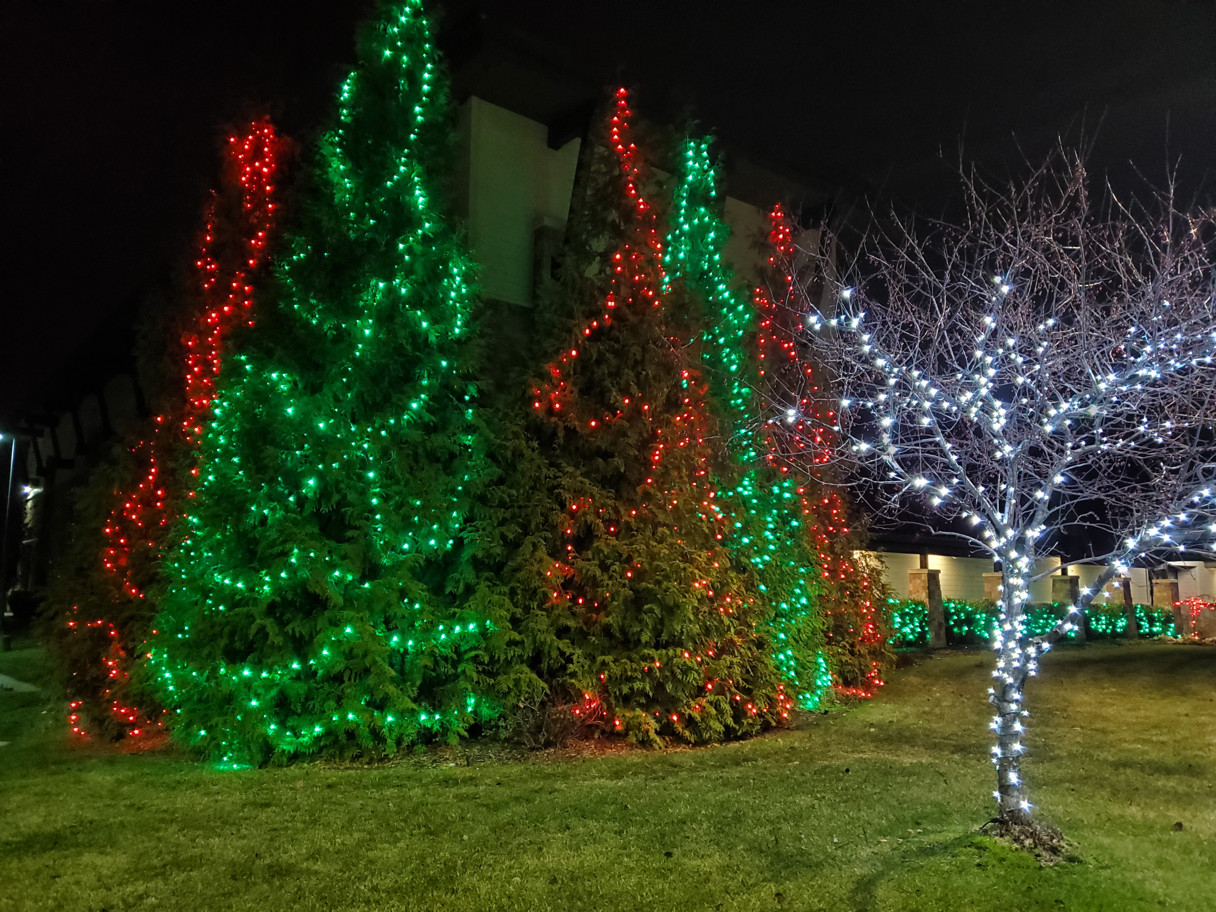 Holiday lighting