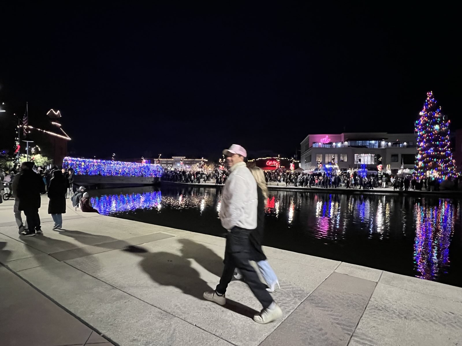 Waterfront Christmas tree