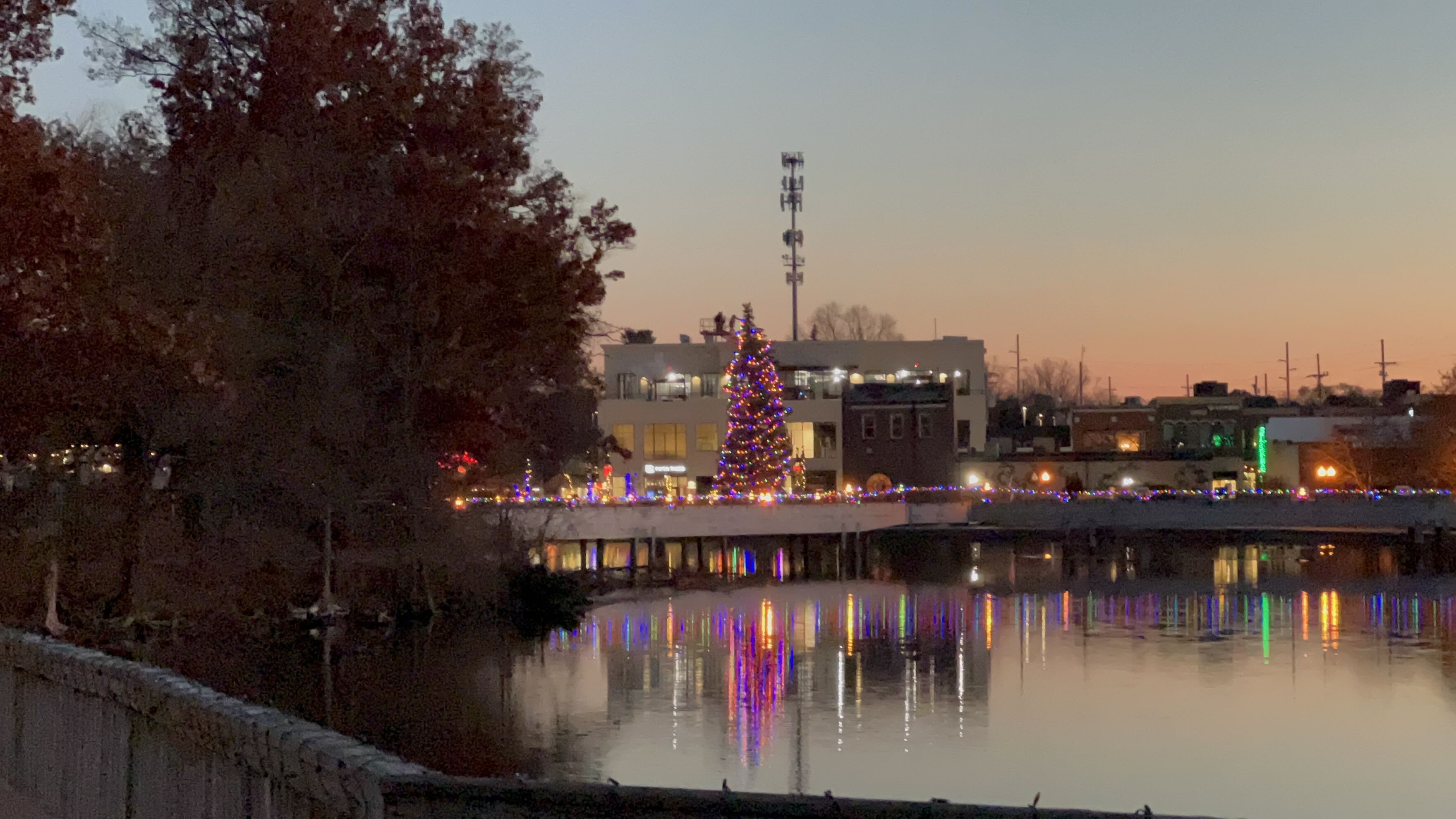 Brighton waterfront town Christmas tree